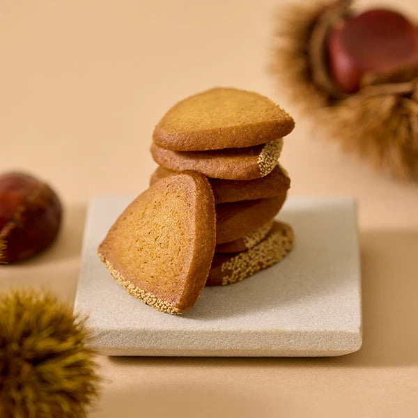 YOKU MOKU Cadeau de l’Automne – 4 Kinds, 36 Pieces