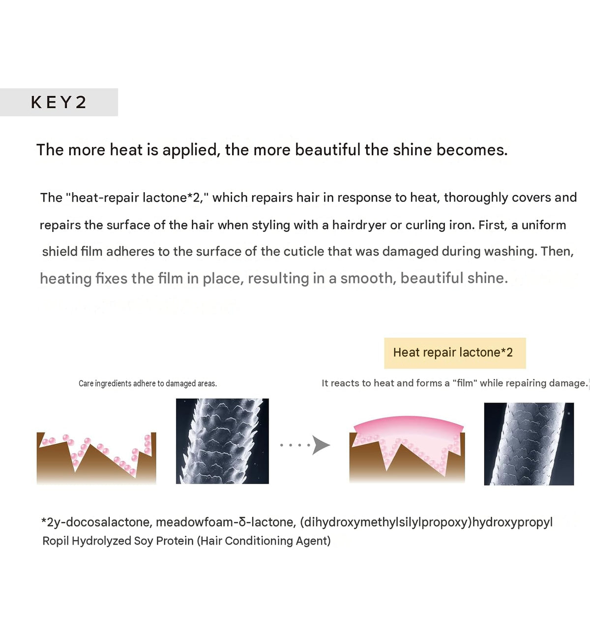 ReFa BEAUTECH Shampoo & Treatment – Premium Hair Care (Choose your option)