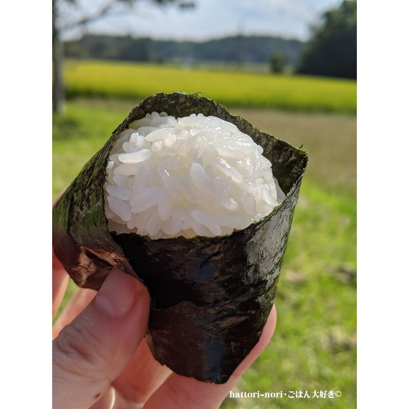 Hattori Nori Roasted Seaweed — First Harvest, 50 Sheets