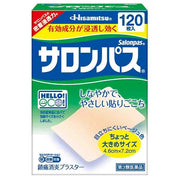 Salonpas Pain Relief Patches big size