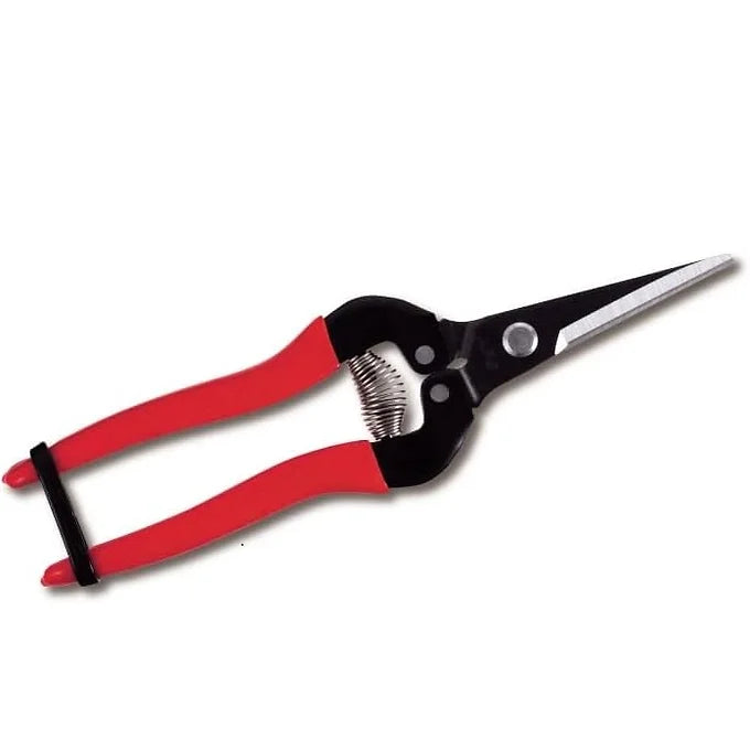 ARS Fruit Thinning Pruning Shears L (Boxed) – Model 300L