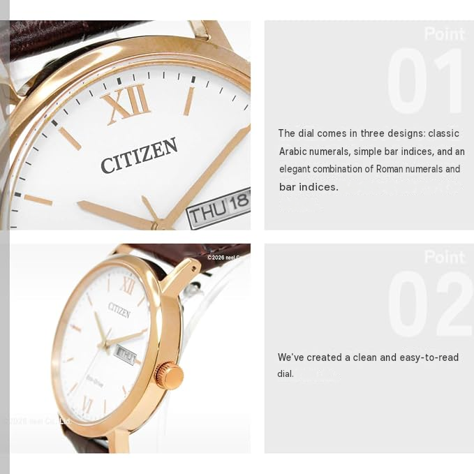 Citizen Collection Eco-Drive BM9012-02A Men's Watch – Gold Tone