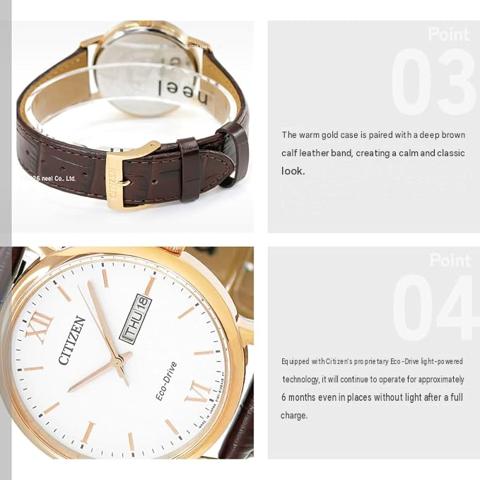 Citizen Collection Eco-Drive BM9012-02A Men's Watch – Gold Tone