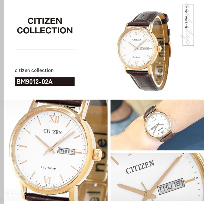 Citizen Collection Eco-Drive BM9012-02A Men's Watch – Gold Tone