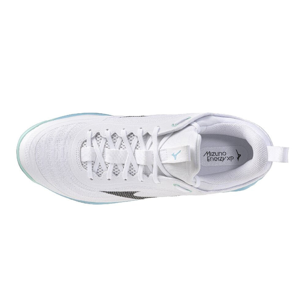 Mizuno Webluminus Elite WIDE V1GA2621 Volleyball Shoes