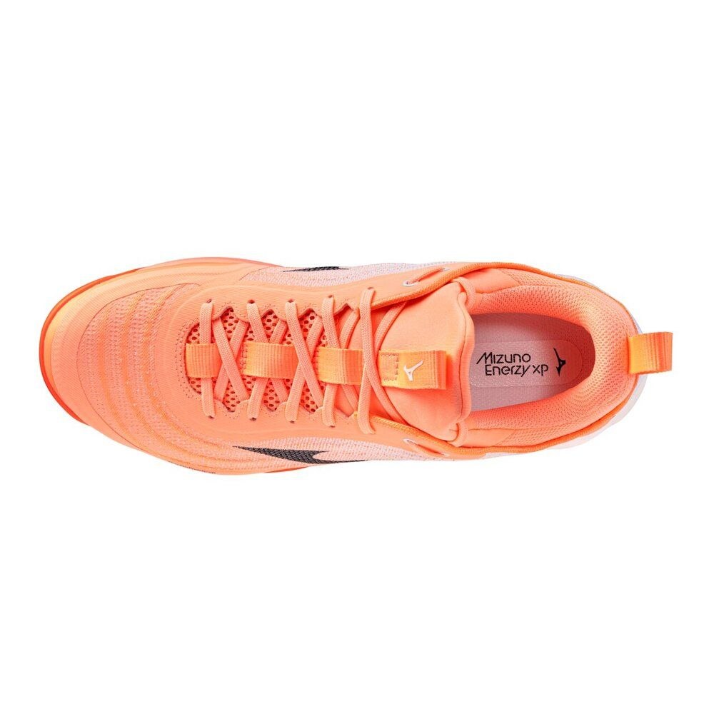 Mizuno Webluminus Elite WIDE V1GA262180 Volleyball Shoes